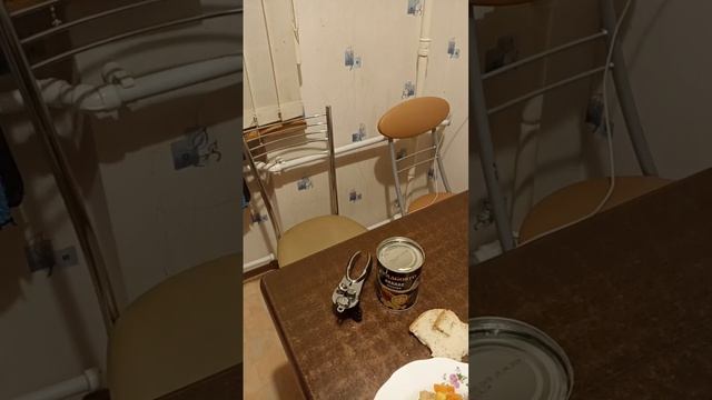 ананасы открываю ем и вкуснятина. смотреть онлайн