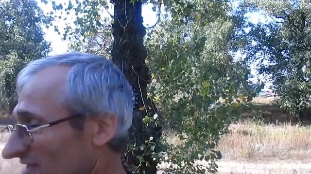 спортивное развлечение. русский дартс смотреть онлайн