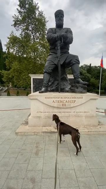 А царь то не настоящий #россия #мелитополь #ливадия #крым смотреть онлайн