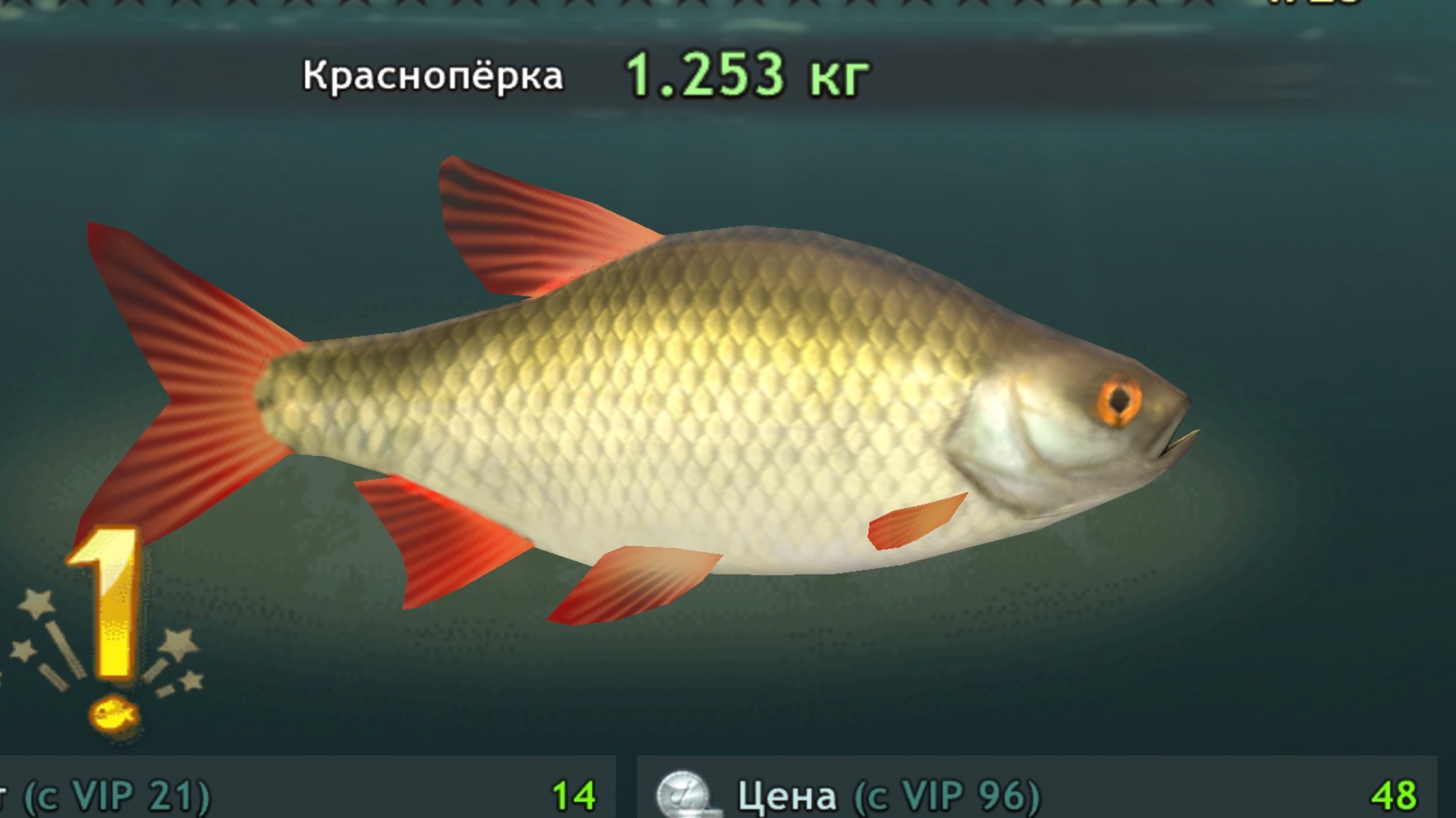 Рыбалочка ночью