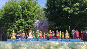 Вишня2018