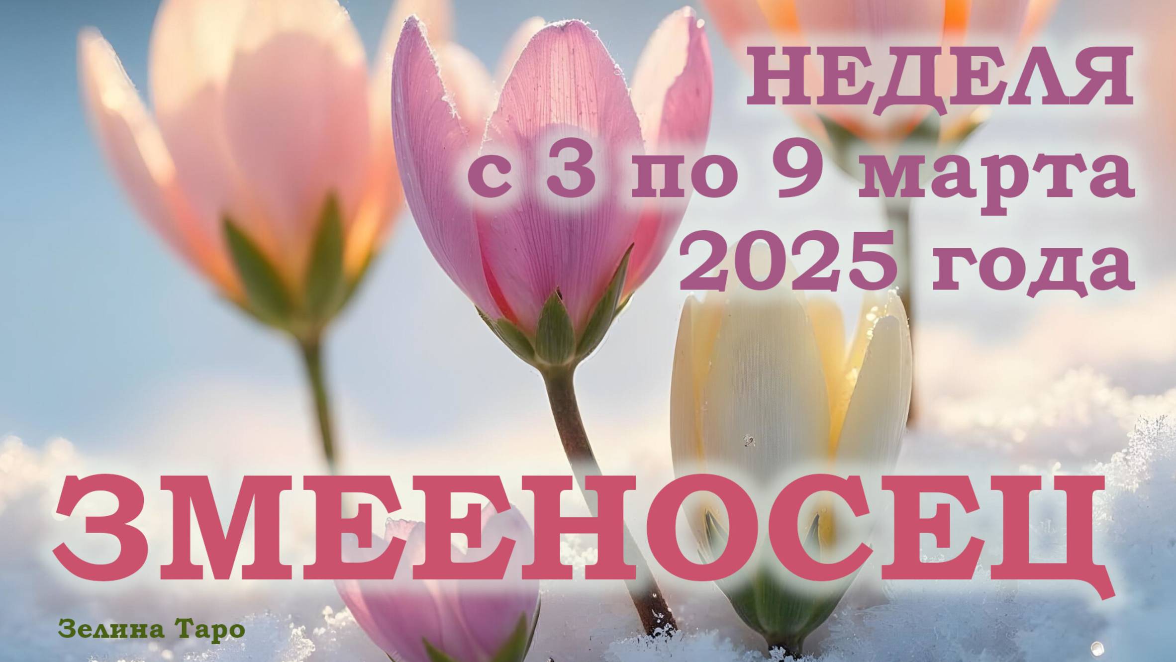 ЗМЕЕНОСЕЦ | ТАРО прогноз на неделю с 3 по 9 марта 2025 года