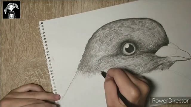 Голубь