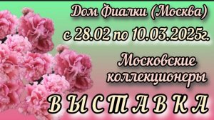 ФИАЛКИ - 2025. Выставка с 28 февраля по 10 марта 2025г. в Доме ФИАЛКИ (Москва)