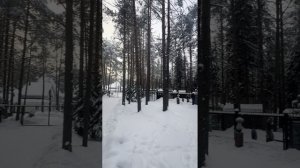 С началом весны родные