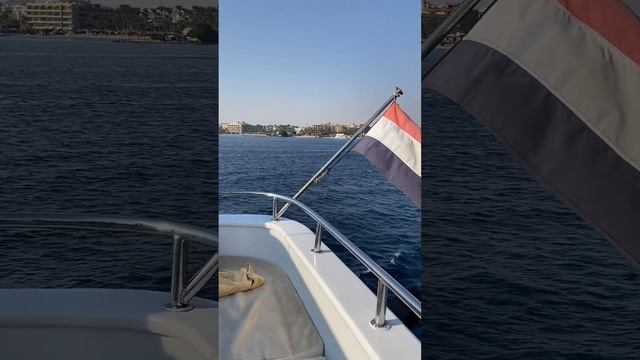 Когда ты на своей волне . Египет . Красное море