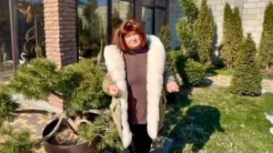 ВНИМАНИЕ, ВАЖНО! Мы открываем НОВЫЙ КАНАЛ и «Алексагины на льду» ждут вас