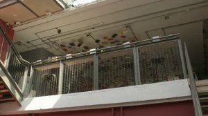 Oxford Navigate (A2) Unit 12 Park Theatre