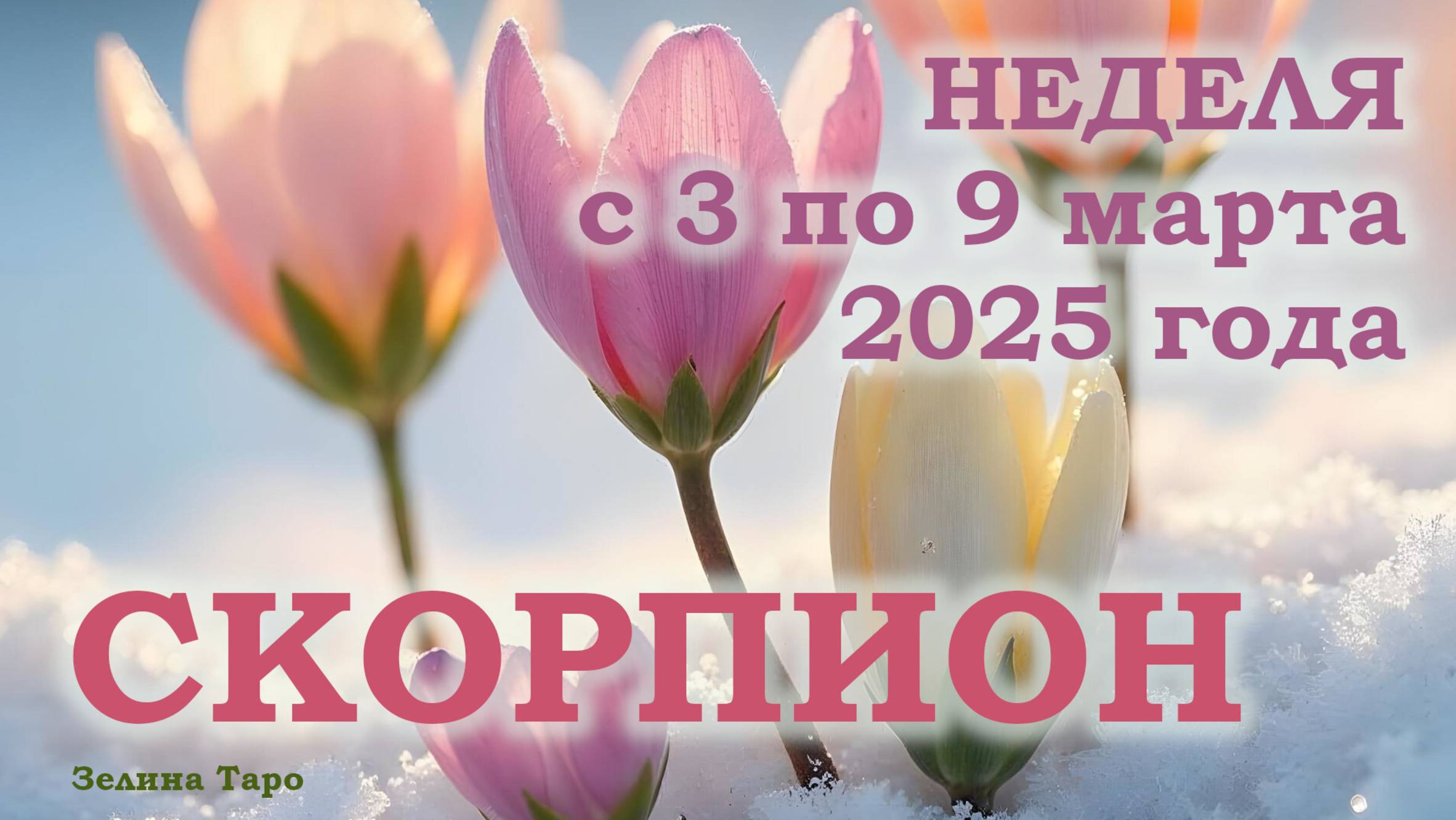 СКОРПИОН | ТАРО прогноз на неделю с 3 по 9 марта 2025 года