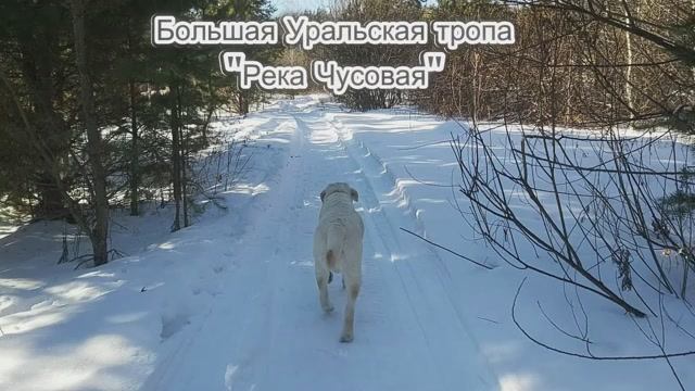 Большая Уральская тропа  Река Чусовая