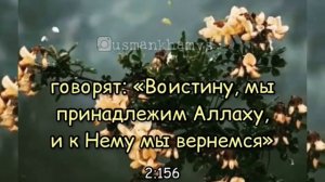 Прояви же красивое терпение  шейх Сультан аль Умрий