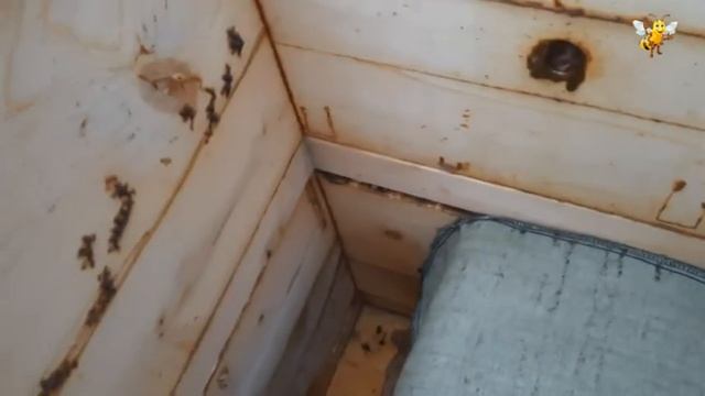 Итоги первой половины зимы 7 января 2021г смотреть онлайн