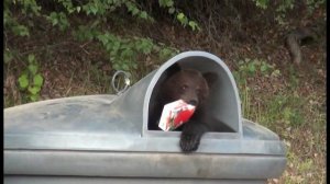 Чивыркуйский Анонс 10 мин