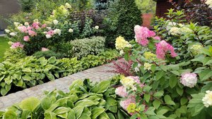 Обзор лесного участка 15 феврвля. Что уже сделали в саду и что планирую на новый сезон.