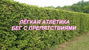 ВидеоФизра #29 Лёгкая атлетика. Бег с препятствиями