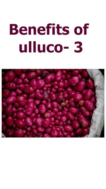 उलुको को लाभ 3 #ashamindfulliving #plants #healthyeating смотреть онлайн