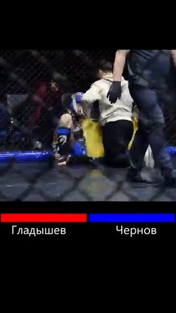 Бой за золото | Томск 24.02.2024 | ММА смотреть онлайн