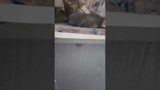 ТИКИ-МАЙ / ПРЕМЬЕРА КЛИПА/ 2019 Г. смотреть онлайн