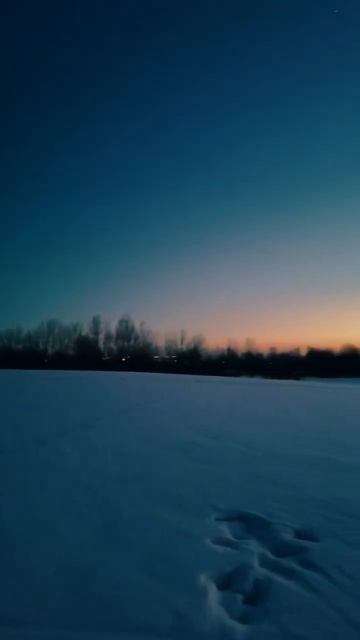 Закат на Борисовских прудах  #СнежныйЛес #ЗимнийЛес #Зима #Природа #Лыжи  #Nature #Sanset