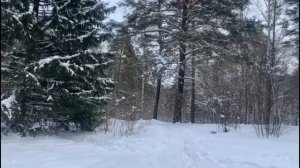 Почему молчание женщины опаснее чем ее слова