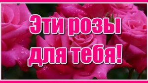 "Эти розы для тебя, я хочу чтоб знала ты, то, что я не смог сказать, скажут все мои цветы..."