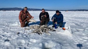 Навага, зубарь = Лазарев, Де Кастри - февраль 2025