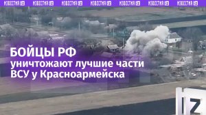 ВСУ перебросили лучших беспилотчиков под Красноармейск: там их и уничтожают наши бойцы