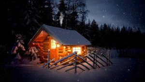 избушка в зимнем лесу #nashvi #зимнийлес #избушка #inshot