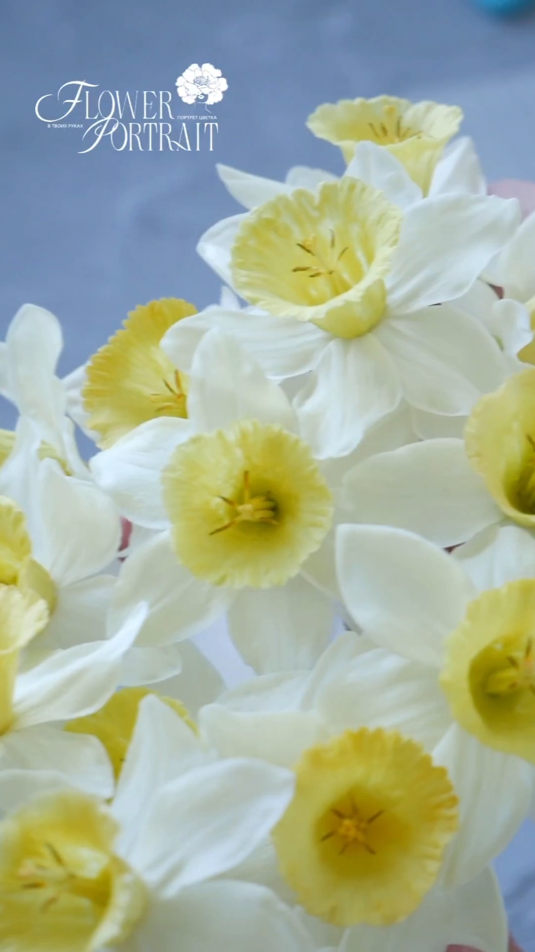 Видеоинструкция к венчику из набора Нарцис малый