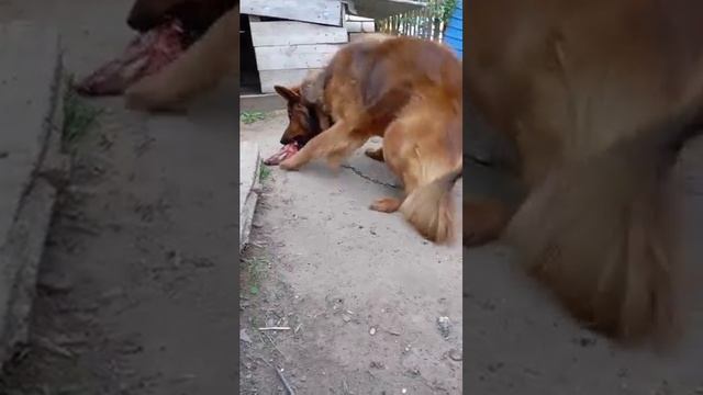 24 мая 2024 г. смотреть онлайн