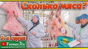 290 килограмм мяса степного выпаса. Туши верблюдов. Горб, мясо, жир, сердце, печень, язык верблюдов