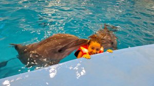 Первый день весны-2025 во Владивостоке