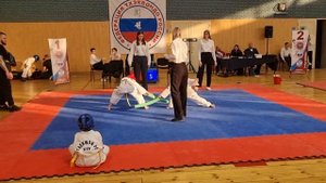 Taekwondo GTF 2025 до 29кг 8 лет Самара Локомотив. финал мягкие палки.