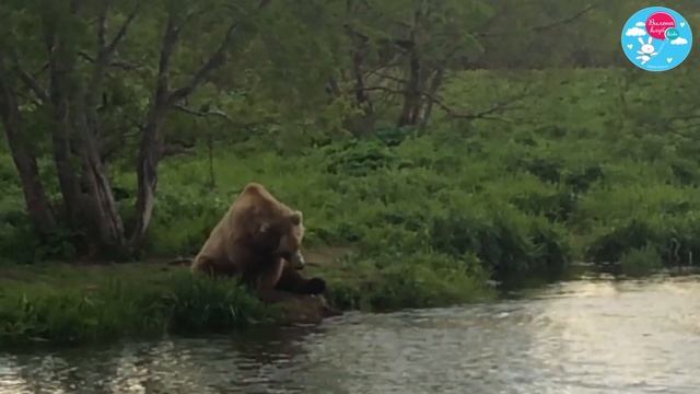 ПУТЕШЕСТВЕННИК