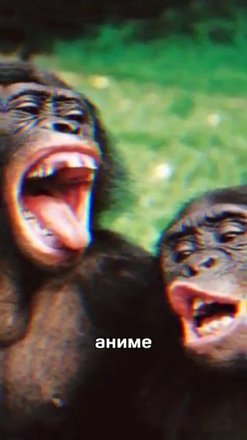 Кто такие хейтеры игры мисайд? #miside смотреть онлайн