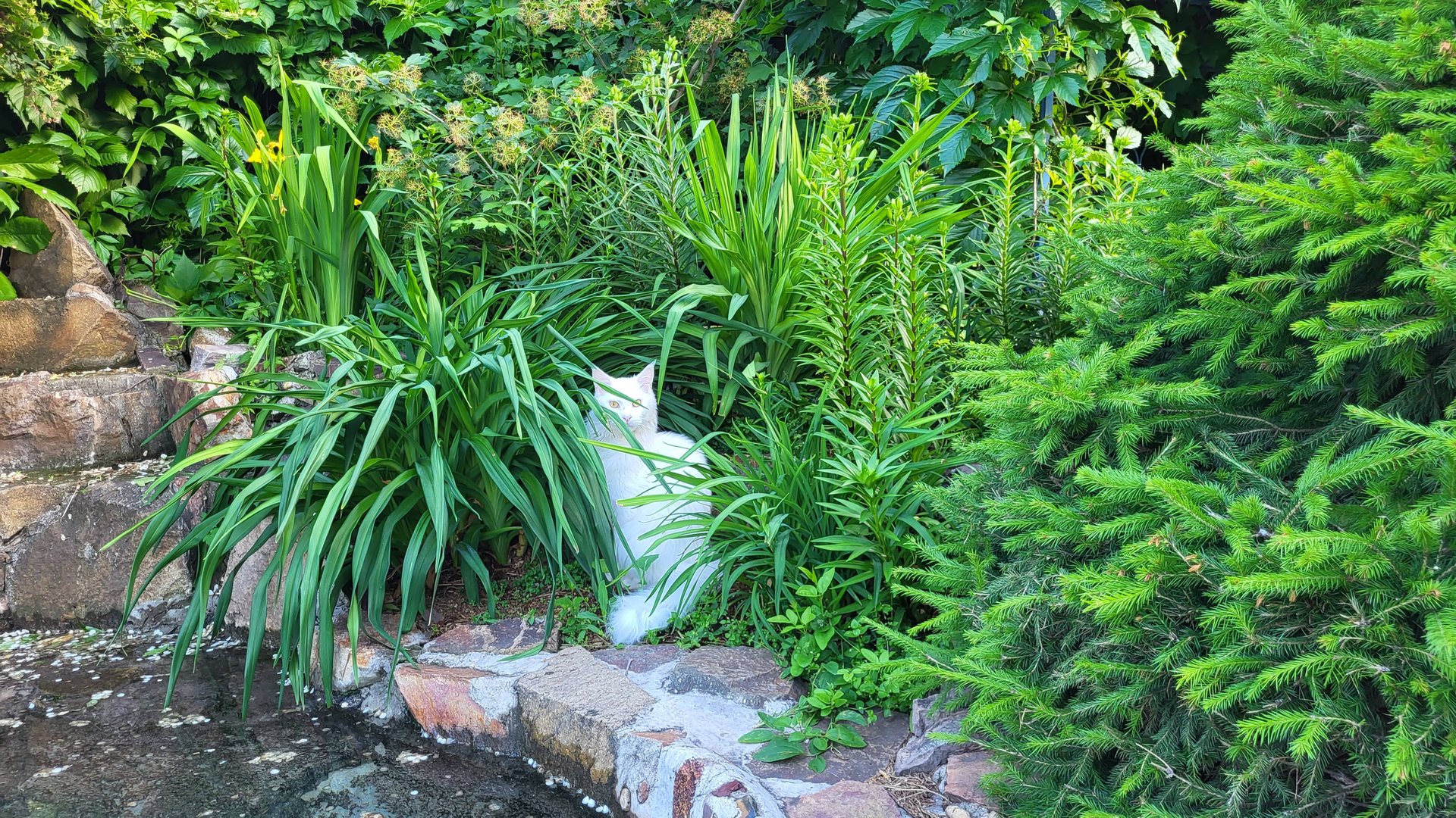 Фартук. Красивый и практичный для работы в саду! Вацап 79193271772 смотреть онлайн