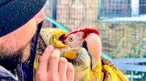 А вот и наши НОВЫЕ ЖИЛЬЦЫ! Это для них папа Влад старался и мастерил новые вольеры!