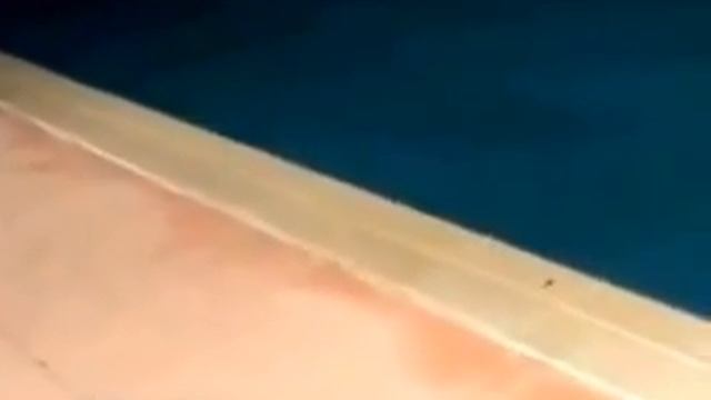 Gusano "Alien" смотреть онлайн