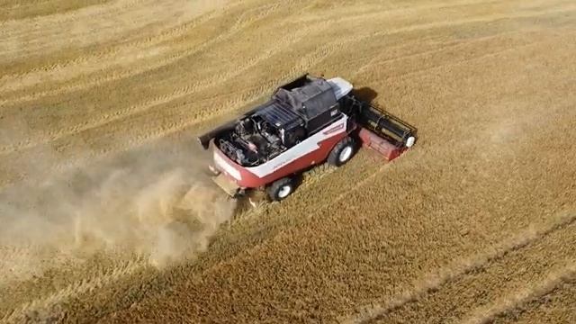 Комбайн Acros 595. Уборка зерна. смотреть онлайн