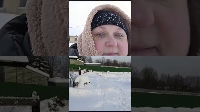 Радио Леди Бага приветствует вас. смотреть онлайн