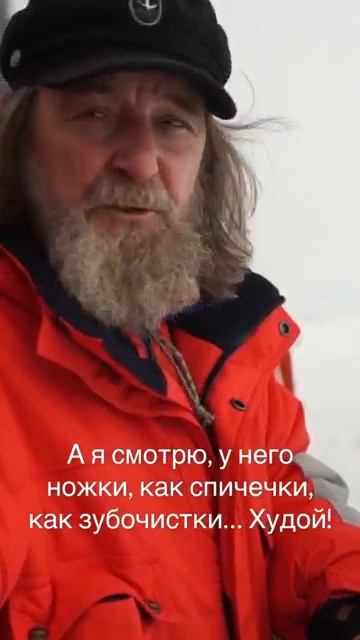 Федор Конюхов #конюхов  #федорконюхов  #повелительветра