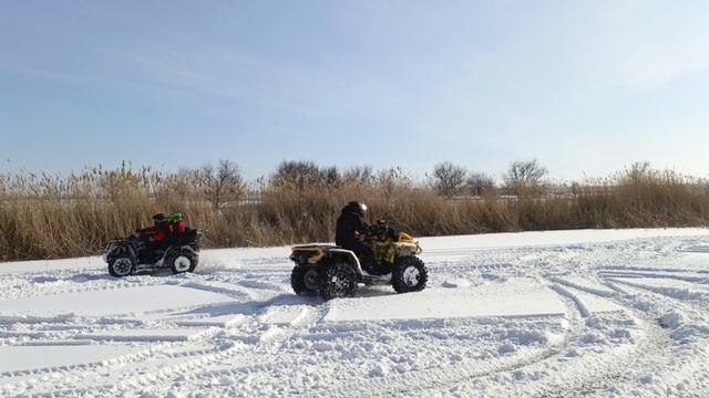 детишки на прогулке