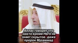 Гадалки, и те кто им верит..