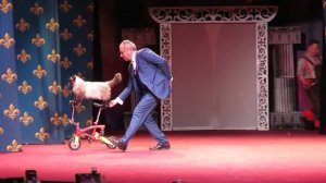 Встреча  с  Куклачевым   в  Театре    кошек    ВИДЕОРЕПОРТАЖ Канал МОСКОВИТ TV-MIX