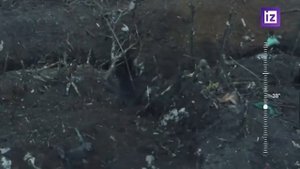 Кадры ожесточенного ближнего боя