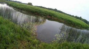 Воблеры, которые у меня ловили в сезоне 2024.