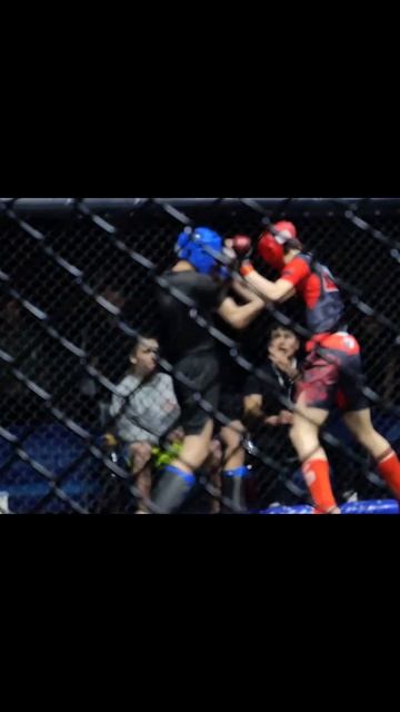 Томск, 24 февраля 2024 ММА смотреть онлайн