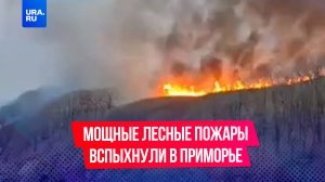 Мощные лесные пожары вспыхнули в Приморье