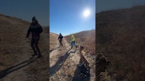 Вырвали собаку из лап тигра