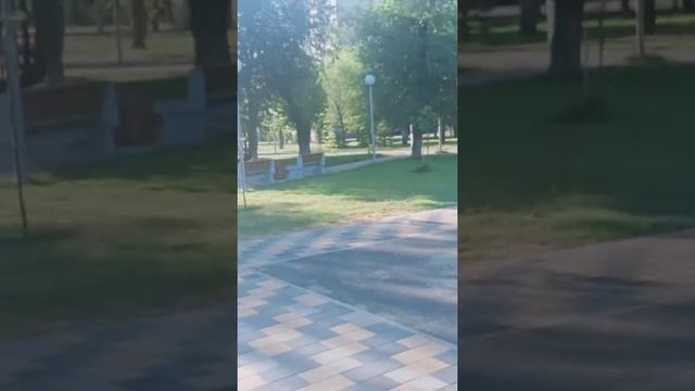 Парки Волгограда